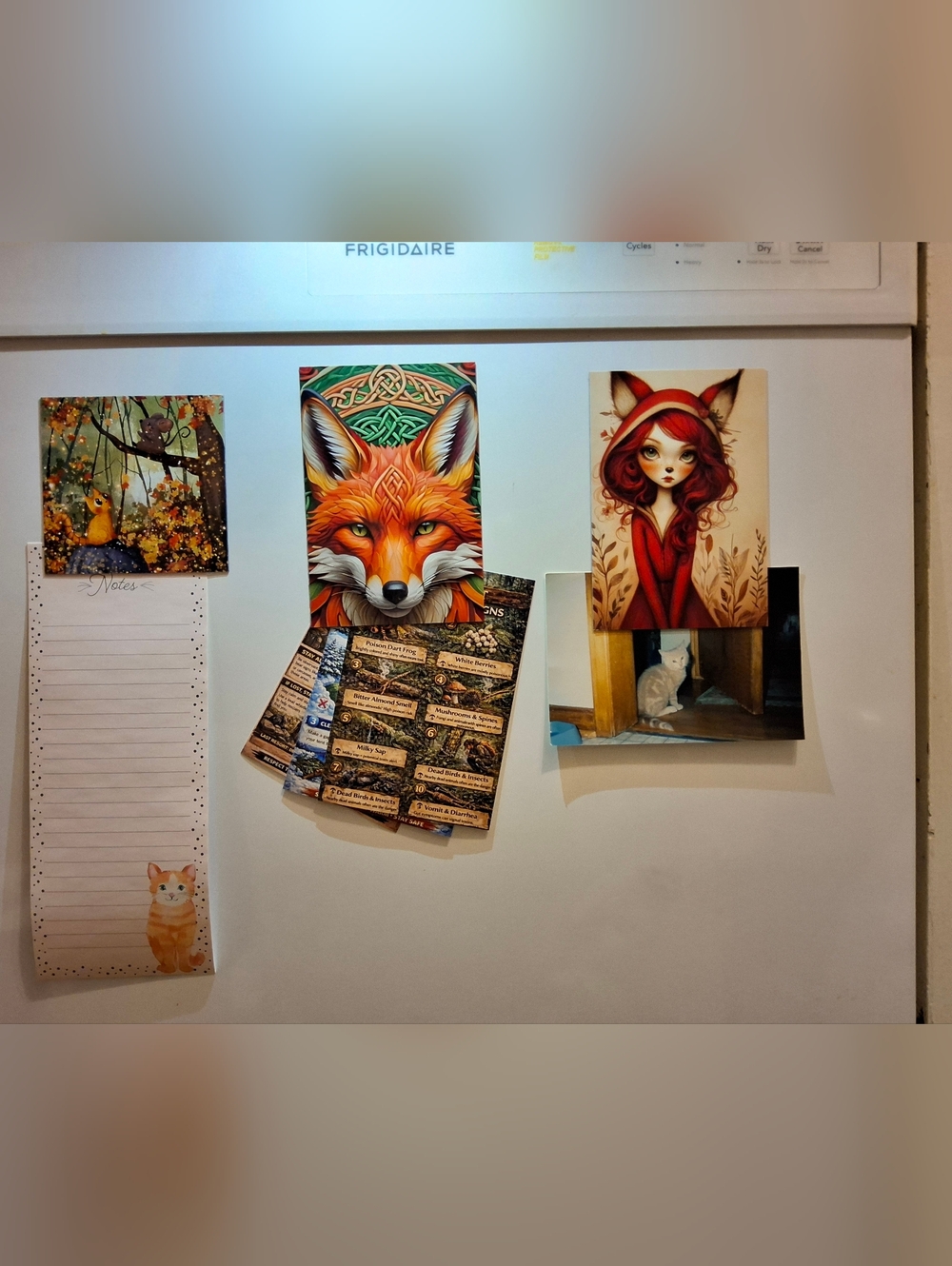 Custom Fridge Magnet Rabbit Home Kitchen Decor - Picture 4 of 4